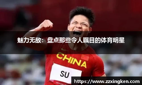 3377体育官网